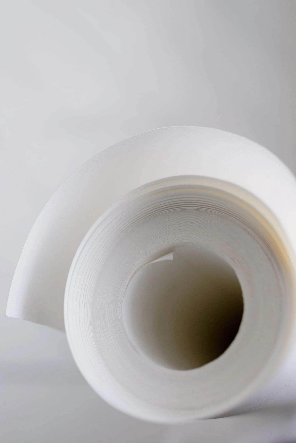 Rouleau de papier peint blanc prêt à poser